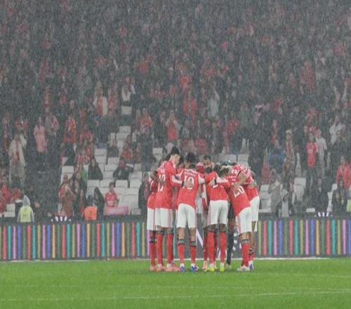 大乐透期号,专家质合分,析推荐,永利高101net,永利高101net官网,永利高101netH5官网