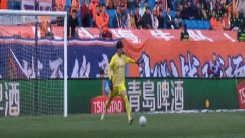 哲科40岁大乐透表现惊人，专家解析前区十码推荐